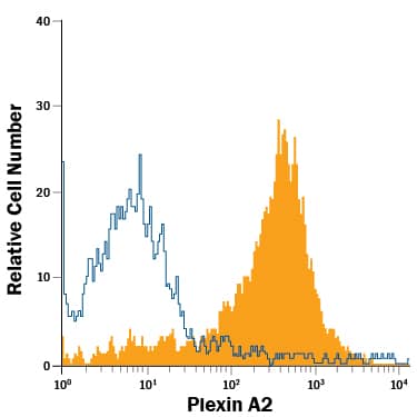 Detection of Plexin A2 antibody in PC-12 Rat Cell Line antibody by Flow Cytometry.