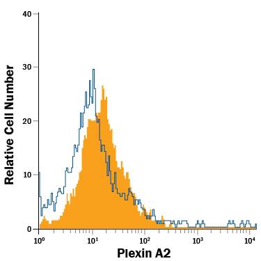 Detection of Plexin A2 antibody in HUVEC Human Cells antibody by Flow Cytometry.
