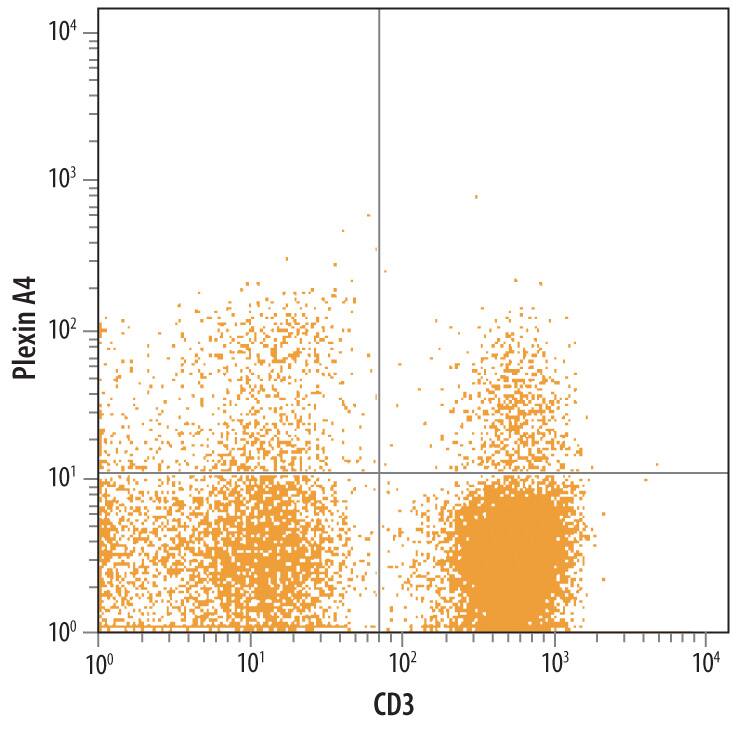 Detection of Plexin A4 antibody in Human Blood Lymphocytes antibody by Flow Cytometry.