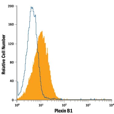 Detection of Plexin B1 antibody in Jurkat Human Cell Line antibody by Flow Cytometry.