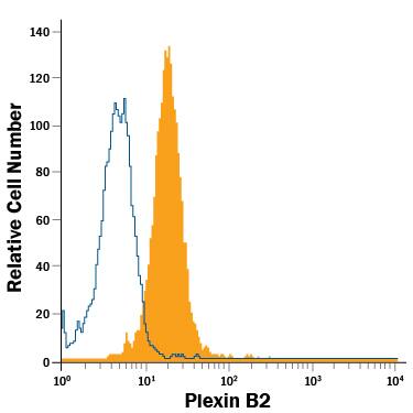 Detection of Plexin B2 antibody in D3 Mouse Cell Line antibody by Flow Cytometry.