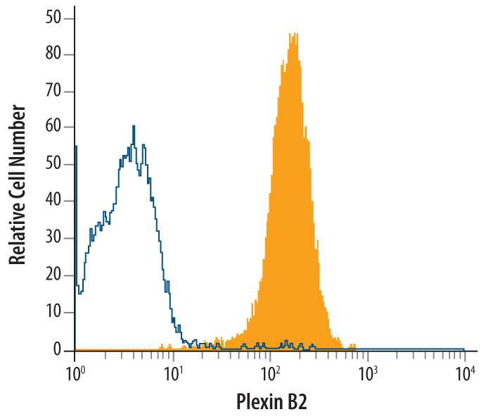 Detection of Plexin B2 antibody in D3 Mouse Cell Line antibody by Flow Cytometry.