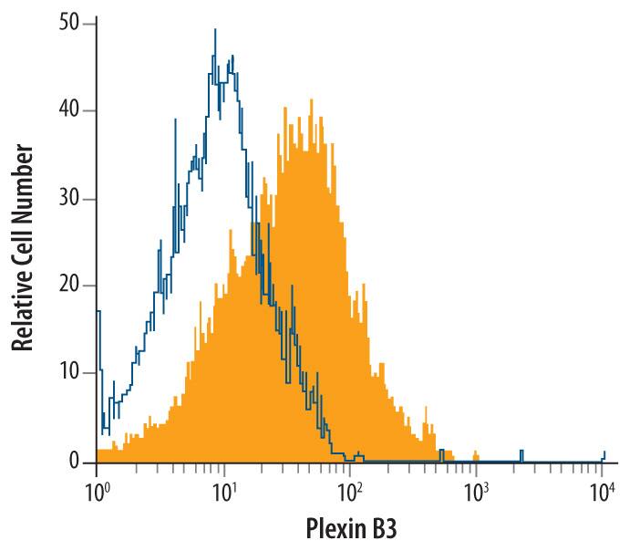 Detection of Plexin B3 antibody in C6 Rat Cell Line antibody by Flow Cytometry.