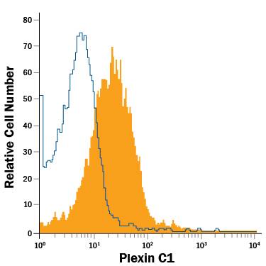 Detection of Plexin C1 antibody in RAW 264.7 Mouse Cell Line antibody by Flow Cytometry.