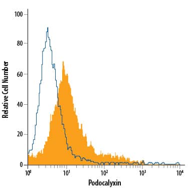 Detection of Podocalyxin antibody in Undifferentiated D3 Mouse Cell Line antibody by Flow Cytometry.