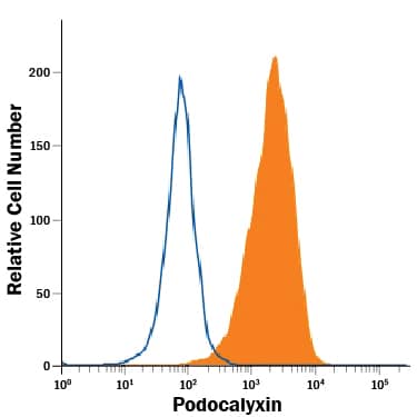 Detection of Podocalyxin antibody in BG01V Human Embryonic Stem Cells antibody by Flow Cytometry.