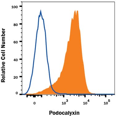 Detection of Podocalyxin antibody in BG01V Human Cells antibody by Flow Cytometry.