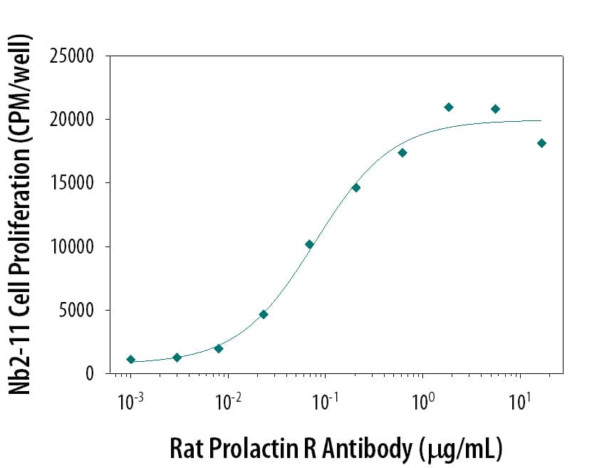 Rat Prolactin R Antibody Stimulates Cell Proliferation antibody in Mouse Nb2-11 Cells.