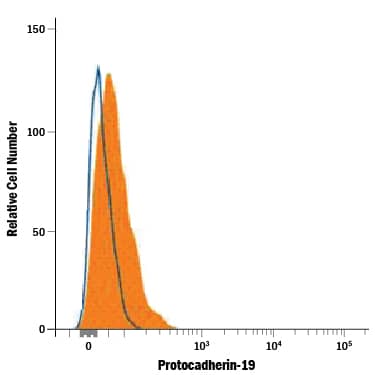 Detection of Protocadherin-19 antibody in SH-SY5Y Human Cell Line antibody by Flow Cytometry.