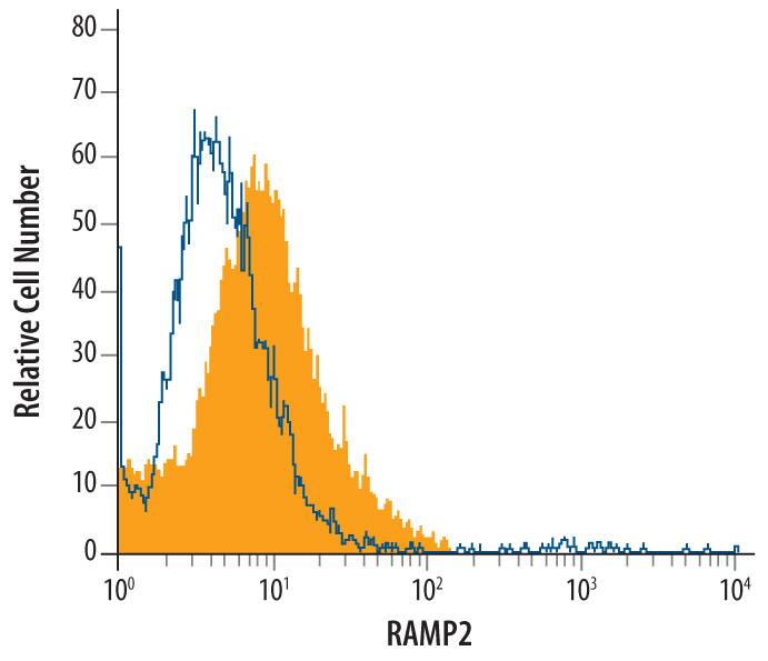 Detection of RAMP2 antibody in bEnd.3 Mouse Cell Line antibody by Flow Cytometry.