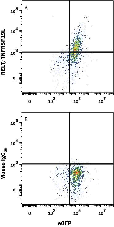 Detection of RELT/TNFRSF19L antibody in HEK293 Human cell line Transfected with Human RELT/TNFRSF19L and eGFP antibody by Flow Cytometry.