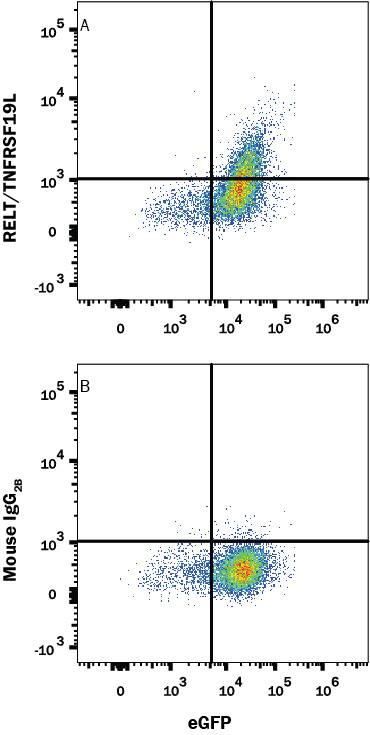 Detection of RELT/TNFRSF19L antibody in HEK293 Human cell line Transfected with Human RELT/TNFRSF19L and eGFP antibody by Flow Cytometry.