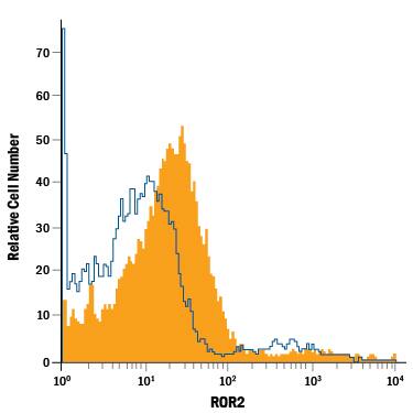 Detection of ROR2 antibody in Human Neural Progenitor Cells antibody by Flow Cytometry.