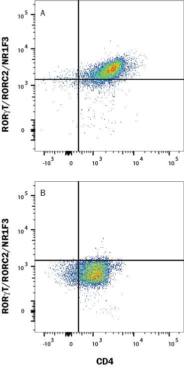 Detection of ROR gamma t/RORC2/NR1F3 antibody in Mouse Splenocytes antibody by Flow Cytometry.