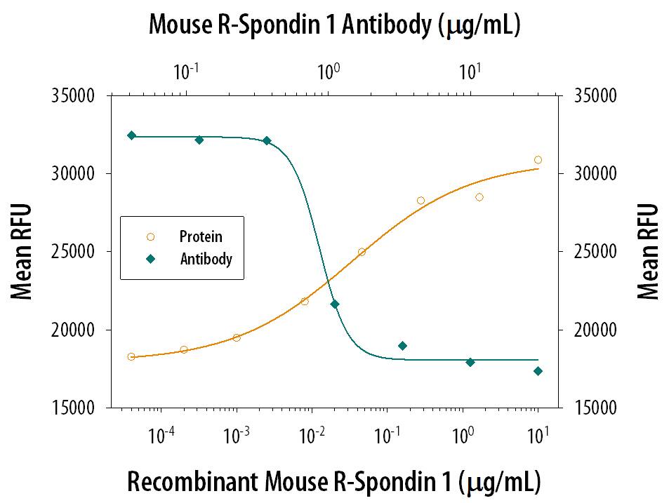 beta-Catenin Response Induced by R-Spondin 1 and Neutralization by Mouse R‑Spondin 1 Antibody.