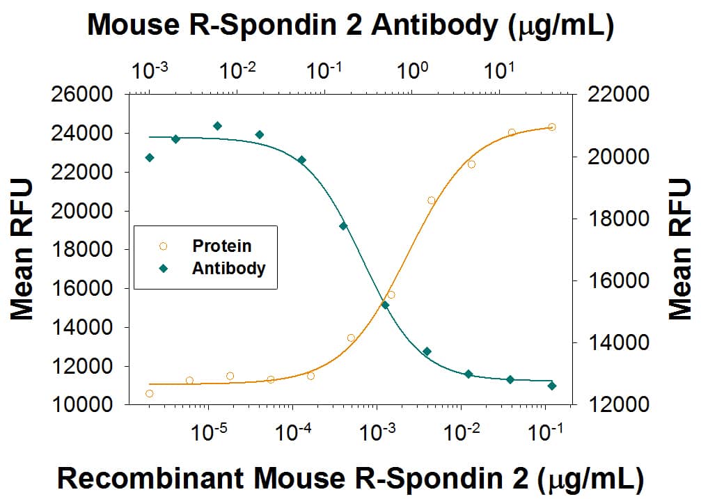 Β-Catenin Response Induced by R‑Spondin 2 and Neutral­ization by Mouse R‑Spondin 2 Antibody.