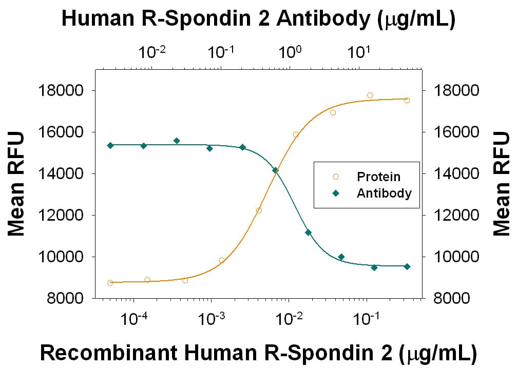 Β-Catenin Response Induced by R‑Spondin 2 and Neutral-ization by Human R‑Spondin 2 Antibody.