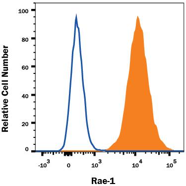 Detection of Rae-1 antibody in RAW 264.7 Mouse Cell Line antibody by Flow Cytometry.