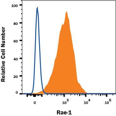 Detection of Rae-1 antibody in RAW 264.7 Mouse Cell Line antibody by Flow Cytometry.