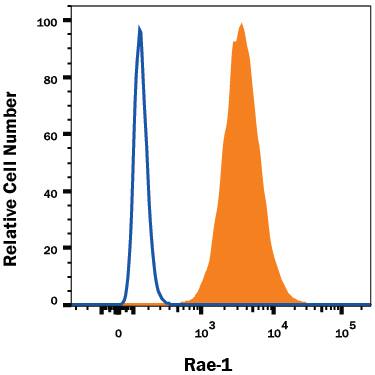 Detection of Rae-1 antibody in RAW 264.7 Mouse Cell Line antibody by Flow Cytometry.