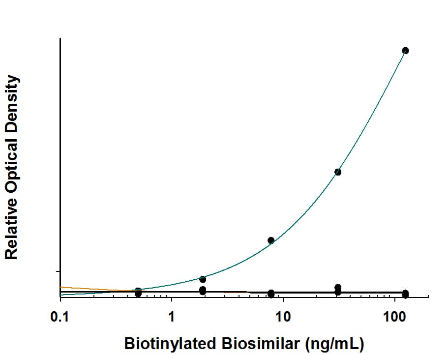 Specificity of Anti-Rituximab (Anti-Idiotype) Antibody in Antibody in ELISA Capture Assay.