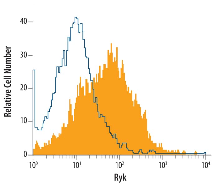 Detection of Ryk antibody in RAW 264.7 Mouse Cell Line antibody by Flow Cytometry.