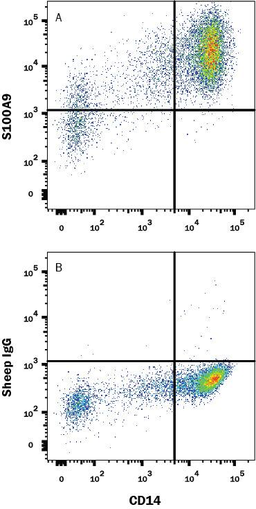 Detection of S100A9 antibody in Human PBMCs antibody by Flow Cytometry.