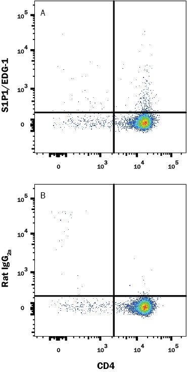 Detection of S1P1/EDG-1 antibody in Mouse thymocytes antibody by Flow Cytometry.