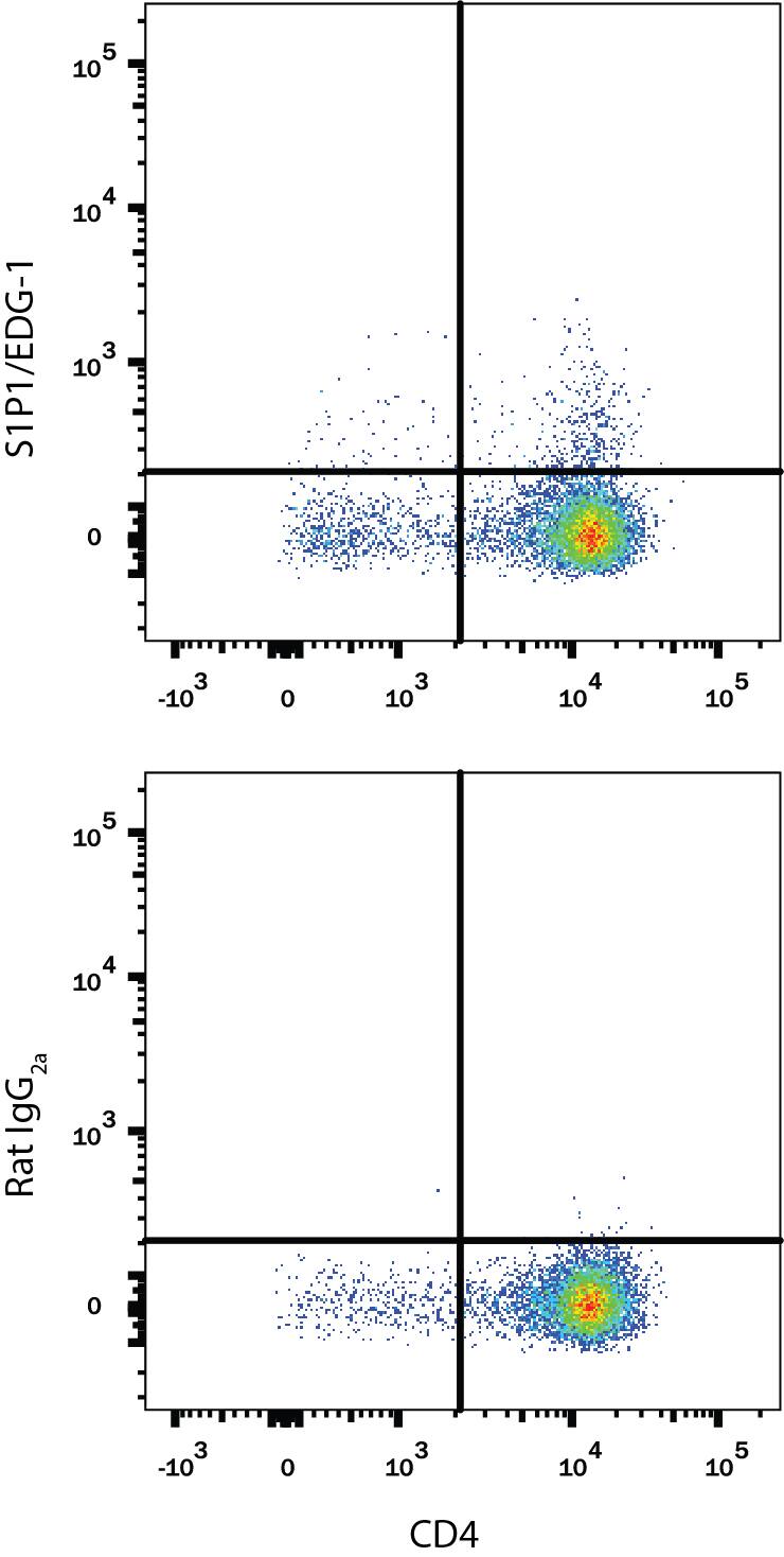 Detection of S1P1/EDG-1 antibody in Mouse Thymocytes antibody by Flow Cytometry.