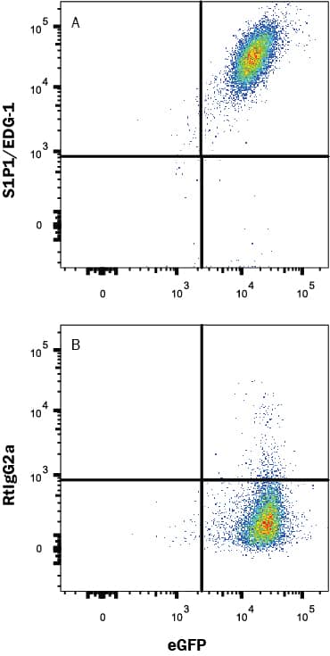 Detection of S1P1/EDG-1 antibody in HEK293 Human Cell Line Transfected With S1P1/EDG-1 antibody by Flow Cytometry.