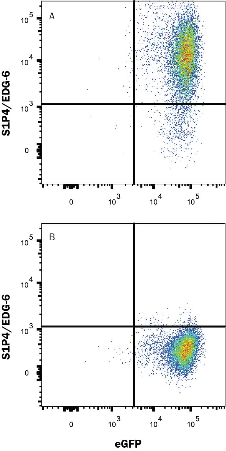 Detection of S1P4/EDG-6 antibody in HEK293 Human Cell Line Transfected with Human S1P4/EDG-6 and eGFP antibody by Flow Cytometry.