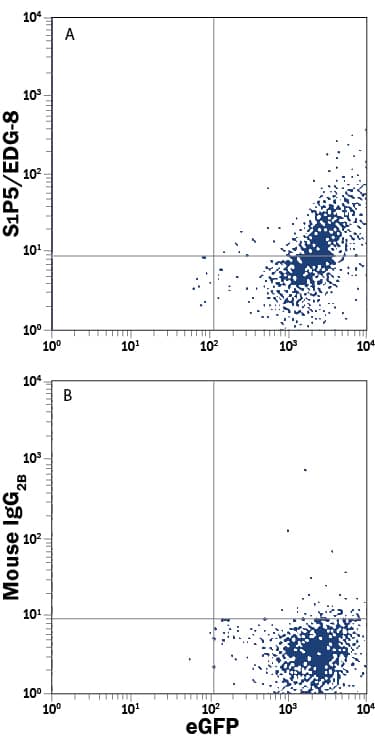 Detection of S1P5/EDG-8 antibody in HEK293 Human Cell Line Transfected with Human S1P5/EDG-8 and eGFP antibody by Flow Cytometry.