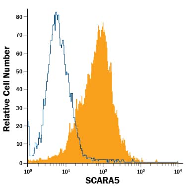 Detection of SCARA5 antibody in HepG2 Human Cell Line antibody by Flow Cytometry.