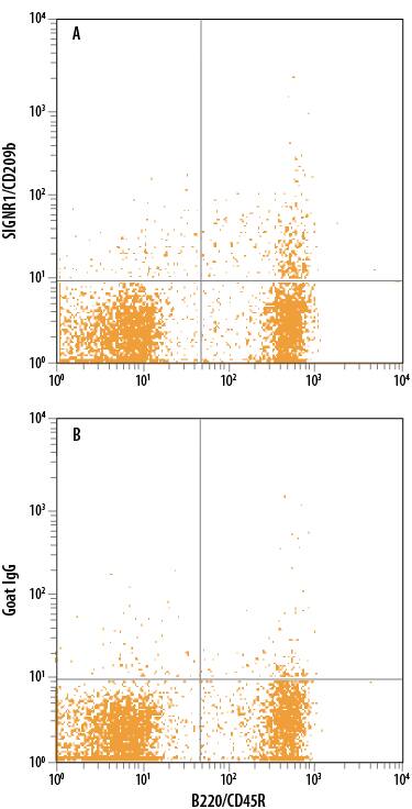 Detection of SIGNR1/CD209b antibody in Mouse Splenocytes antibody by Flow Cytometry.