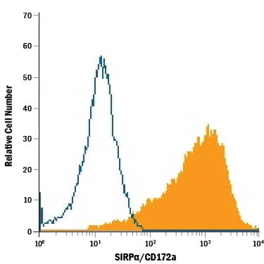 Detection of SIRPa/CD172a antibody in PC-12 Rat Cell Line antibody by Flow Cytometry.