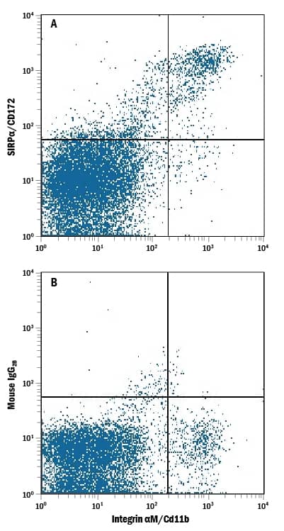 Detection of SIRPa/CD172a antibody in Mouse Splenocytes antibody by Flow Cytometry.