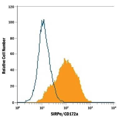 Detection of SIRPa/CD172a antibody in PC-12 Rat Cell Line antibody by Flow Cytometry.