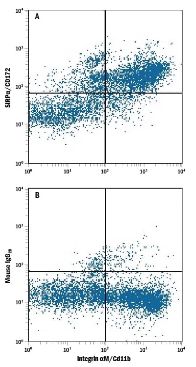 Detection of SIRPa/CD172a antibody in Mouse Splenocytes antibody by Flow Cytometry.