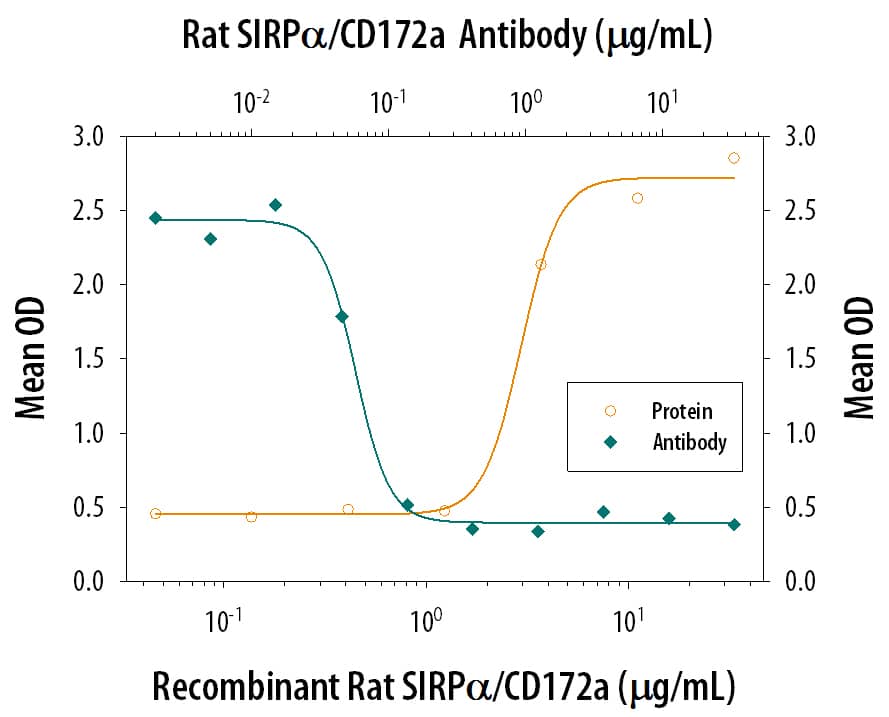 Adhesion Induced by SIRP alpha/ CD172a and Neutralization by Rat SIRP alpha/CD172a Antibody.