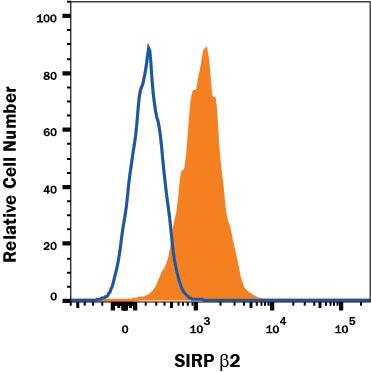 Detection of SIRP beta 2 antibody in THP-1 Cells antibody by Flow Cytometry.