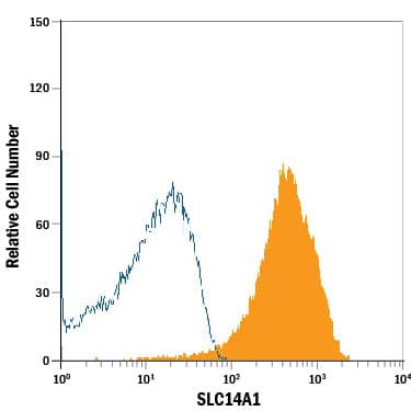 Detection of SLC14A1 antibody in Human Red Blood Cells antibody by Flow Cytometry.