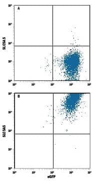 Detection of SLC5A5 antibody in HEK293 Human Cell Line Transfected with Human SLC5A5 and eGFP antibody by Flow Cytometry.