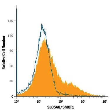 Detection of SLC5A8/SMCT1 antibody in MCF-7 Human Cell Line antibody by Flow Cytometry.