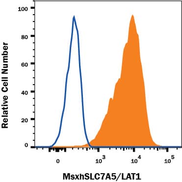 Detection of SLC7A5/LAT1 antibody in Raji Human Cell Line antibody by Flow Cytometry.