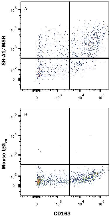 Detection of SR-AI/MSR antibody in Human M2 Macrophages antibody by Flow Cytometry.
