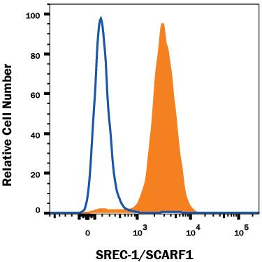 Detection of SREC-I/SCARF1 antibody in HUVEC Human Cells antibody by Flow Cytometry.