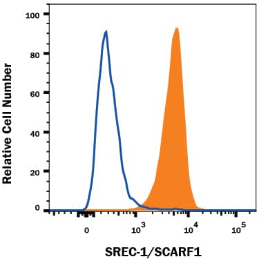 Detection of SREC-I/SCARF1 antibody in HUVEC Human Cells antibody by Flow Cytometry.