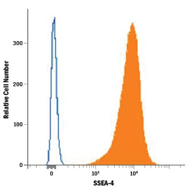 Detection of SSEA-4 antibody in NTera-2 Human Cell Line antibody by Flow Cytometry.