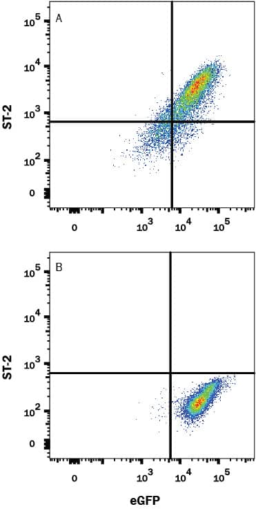 Detection of ST2/IL-33 R antibody in HEK293 Human Cell Line Transfected with Human ST2/IL-33 R and eGFP antibody by Flow Cytometry.