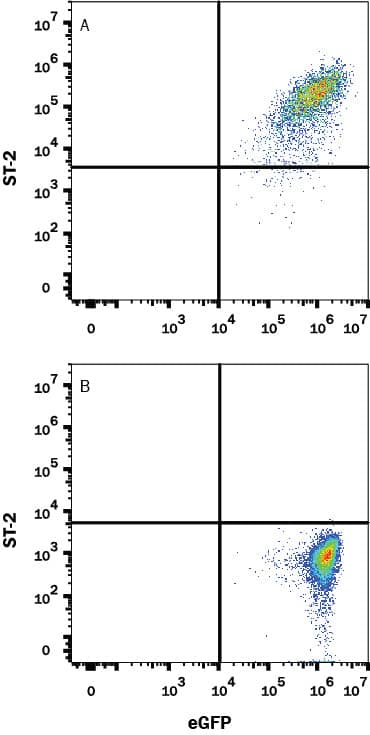 Detection of ST2/IL-33 R antibody in HEK293 Human Cell Line Transfected with Human ST2/IL-33 R and eGFP antibody by Flow Cytometry.